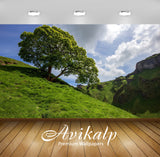 Avikalp Exclusive Awi5725 Lonesome Tree On The Hill Nature Full HD Wallpapers for Living room, Hall, Avikalp Exclusive Awi5725 Lonesome Tree On The Hill Nature Full HD Wallpapers for Living room, Hall,