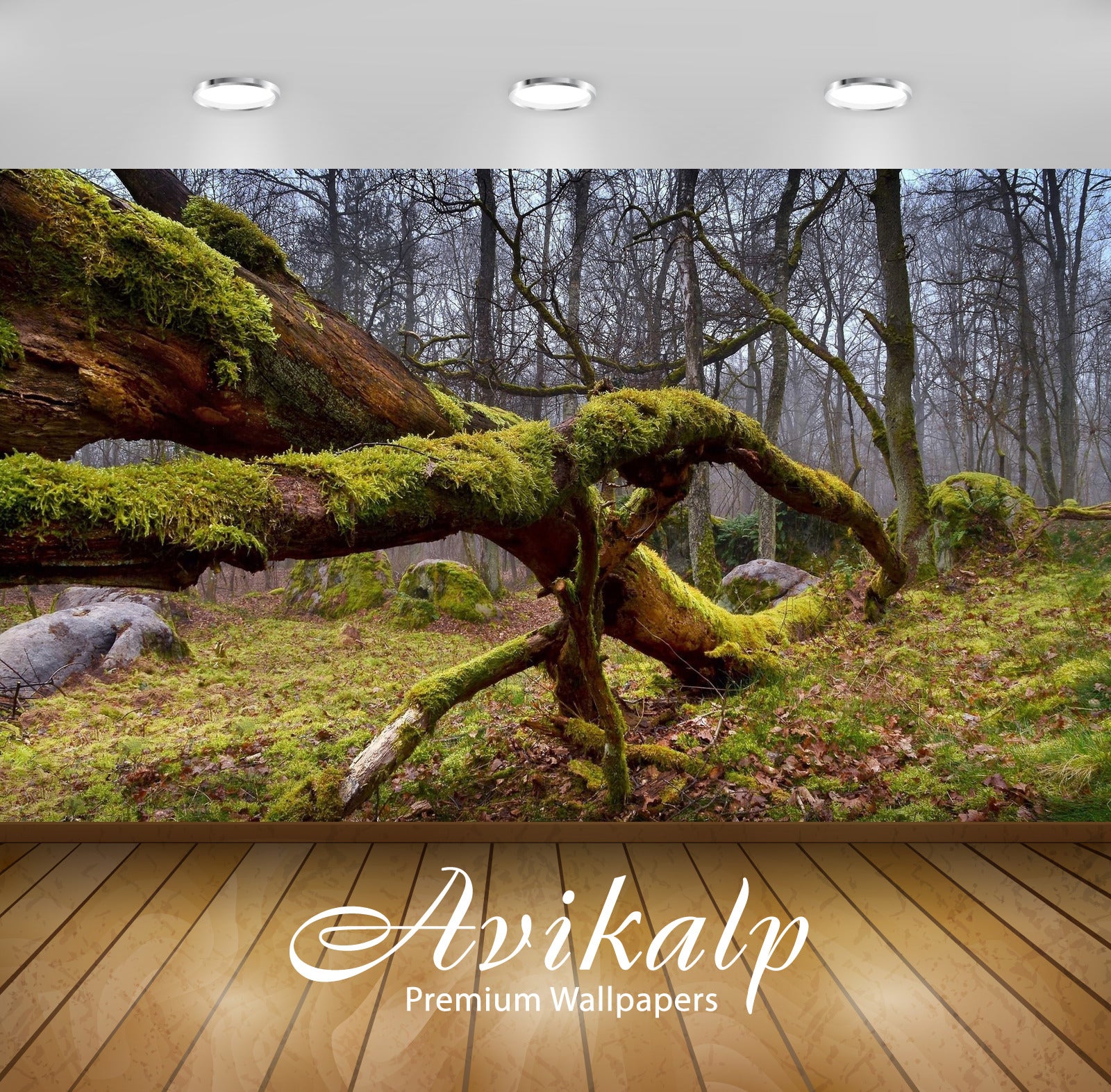 Avikalp Exclusive Awi5772 Mossy Log Nature Full HD Wallpapers for Living room, Hall, Kids Room, Kitc Avikalp Exclusive Awi5772 Mossy Log Nature Full HD Wallpapers for Living room, Hall, Kids Room, Kitc