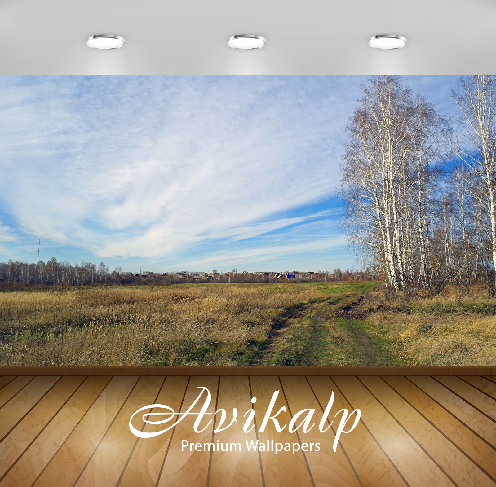 Avikalp Exclusive Awi5847 Muddy Path To The Town Nature Full HD Wallpapers for Living room, Hall, Ki Avikalp Exclusive Awi5847 Muddy Path To The Town Nature Full HD Wallpapers for Living room, Hall, Ki