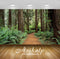 Avikalp Exclusive Awi5865 Olympic National Park Nature Full HD Wallpapers for Living room, Hall, Kid