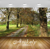 Avikalp Exclusive Awi5904 Path Through Tree Tunnel Nature Full HD Wallpapers for Living room, Hall, Avikalp Exclusive Awi5904 Path Through Tree Tunnel Nature Full HD Wallpapers for Living room, Hall,