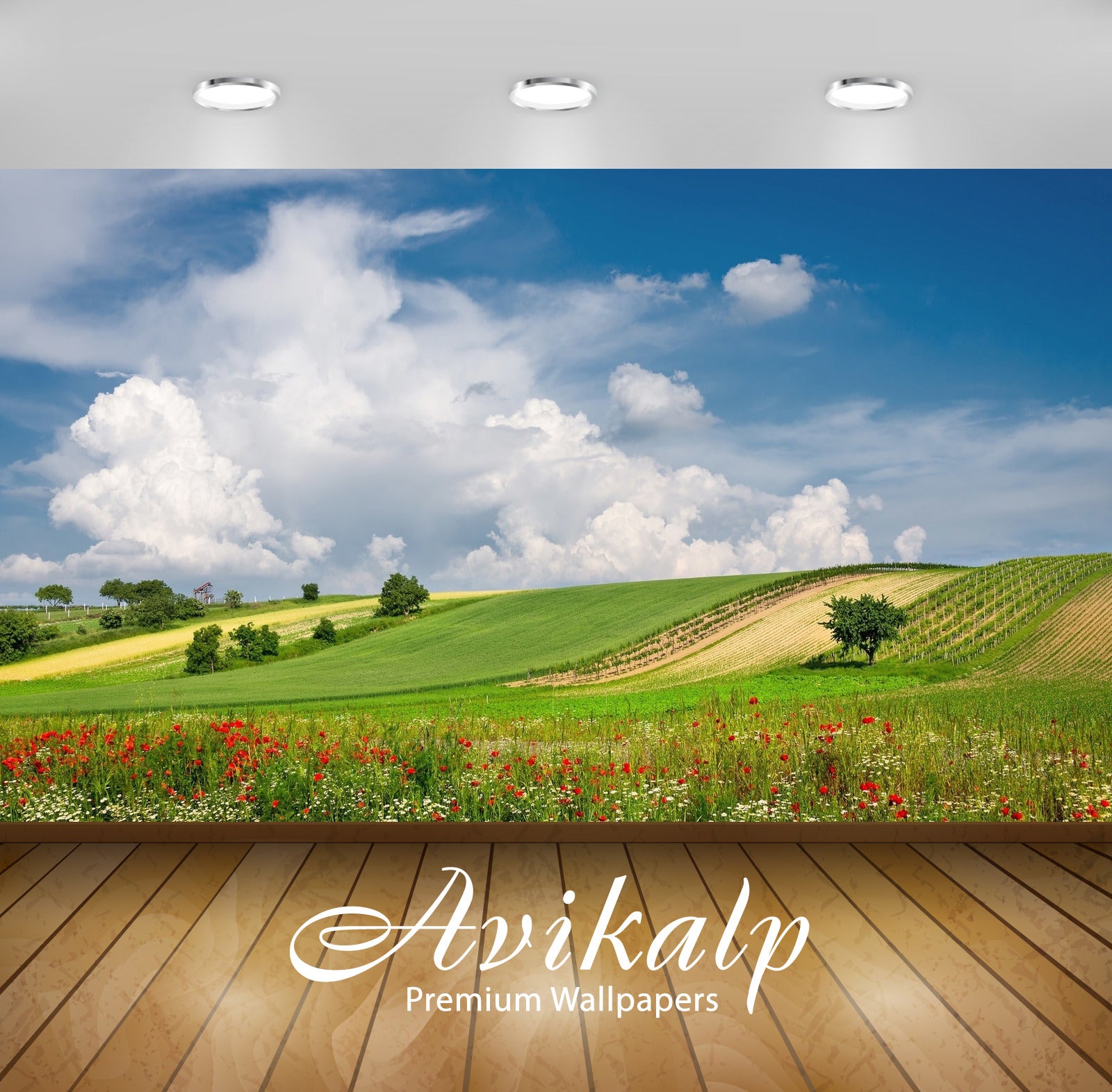 Avikalp Exclusive Awi5935 Poppies And Daisies On The Green Field Nature Full HD Wallpapers for Livin Avikalp Exclusive Awi5935 Poppies And Daisies On The Green Field Nature Full HD Wallpapers for Livin