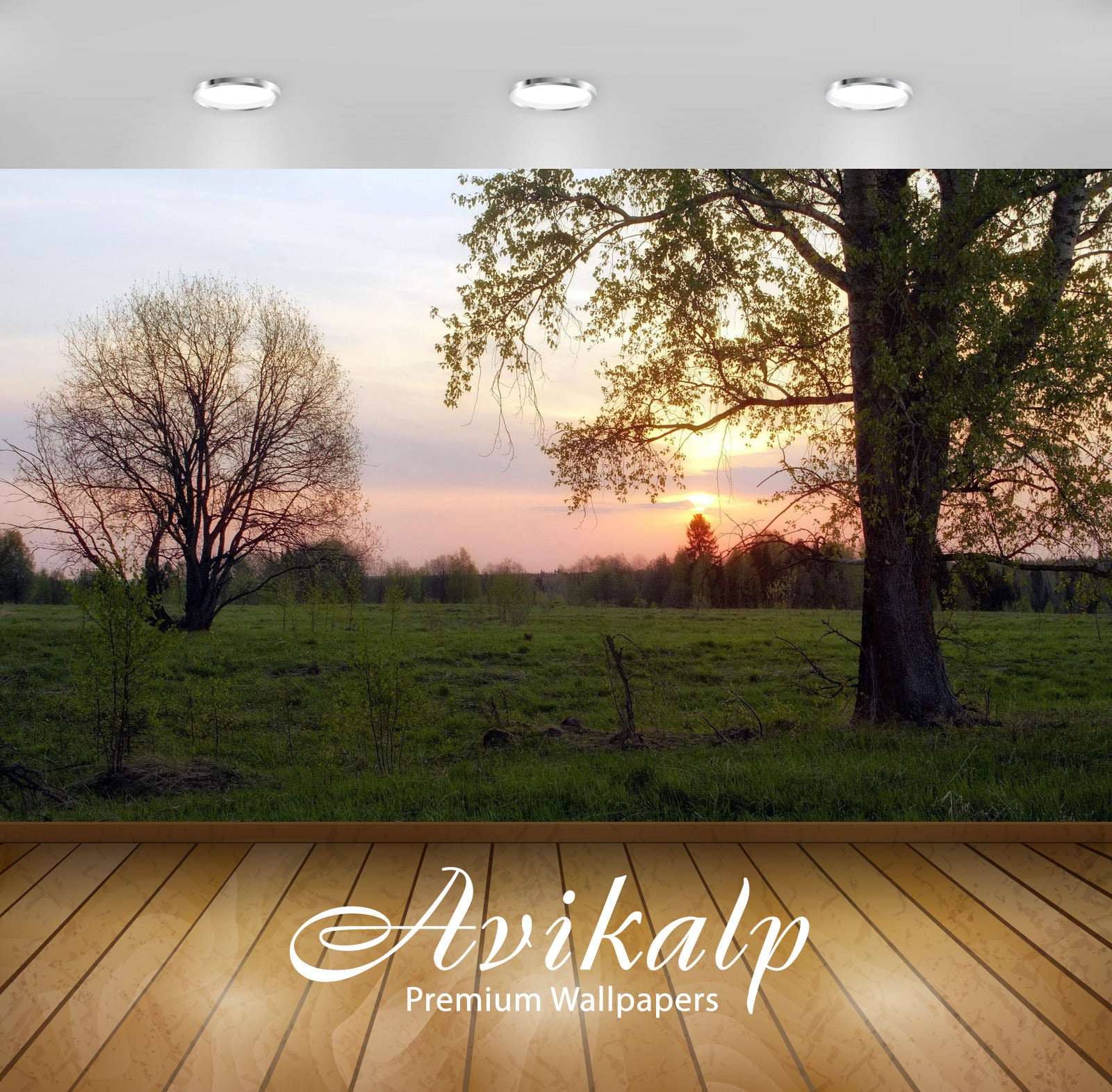 Avikalp Exclusive Awi5945 Purple Sunset Over The Trees Nature Full HD Wallpapers for Living room, Ha Avikalp Exclusive Awi5945 Purple Sunset Over The Trees Nature Full HD Wallpapers for Living room, Ha