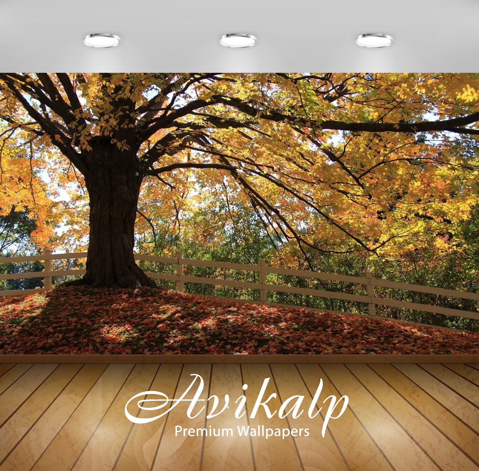 Avikalp Exclusive Awi5963 Red Autumn Leaves Under A Golden Tree Nature Full HD Wallpapers for Living Avikalp Exclusive Awi5963 Red Autumn Leaves Under A Golden Tree Nature Full HD Wallpapers for Living