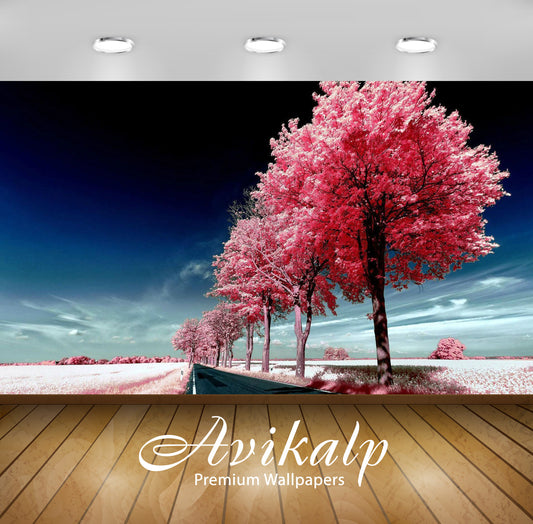 Avikalp Exclusive Awi6035 Roadside Pink Trees Nature Full HD Wallpapers for Living room, Hall, Kids