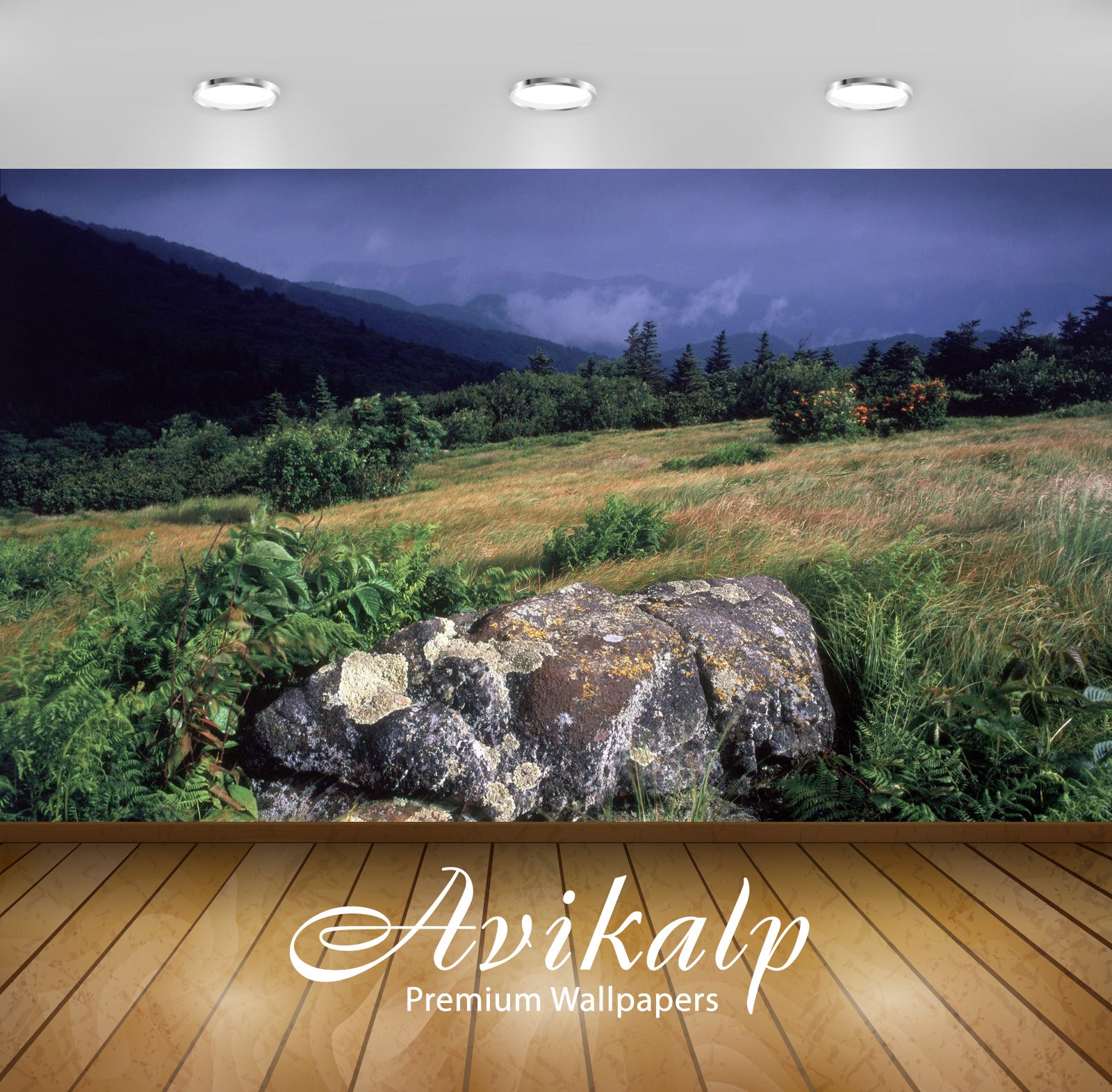 Avikalp Exclusive Awi6036 Roan Mountain Nature Full HD Wallpapers for Living room, Hall, Kids Room, Avikalp Exclusive Awi6036 Roan Mountain Nature Full HD Wallpapers for Living room, Hall, Kids Room,