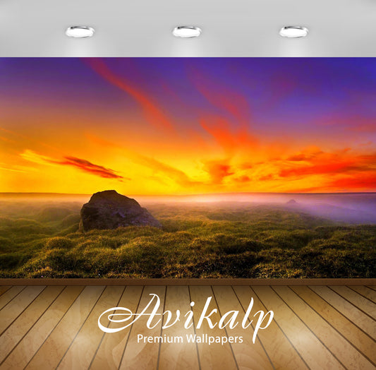 Avikalp Exclusive Awi6045 Rock Rising From The Grass To The Gorgeous Sunset Nature Full HD Wallpaper