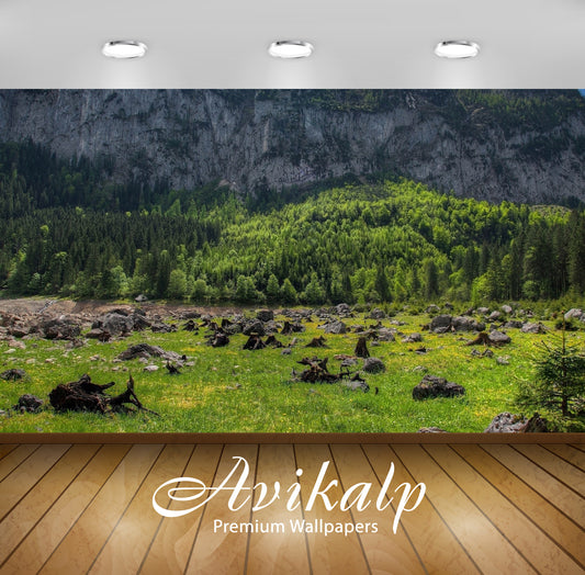 Avikalp Exclusive Awi6073 Rocky Mountain Rising From Behind The Green Forest Nature Full HD Wallpape