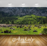 Avikalp Exclusive Awi6073 Rocky Mountain Rising From Behind The Green Forest Nature Full HD Wallpape Avikalp Exclusive Awi6073 Rocky Mountain Rising From Behind The Green Forest Nature Full HD Wallpape