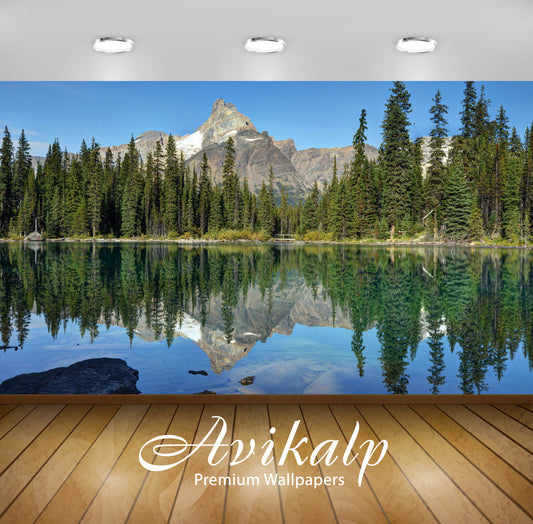 Avikalp Exclusive Awi6091 Rocky Peak Behind The Forest Nature Full HD Wallpapers for Living room, Ha