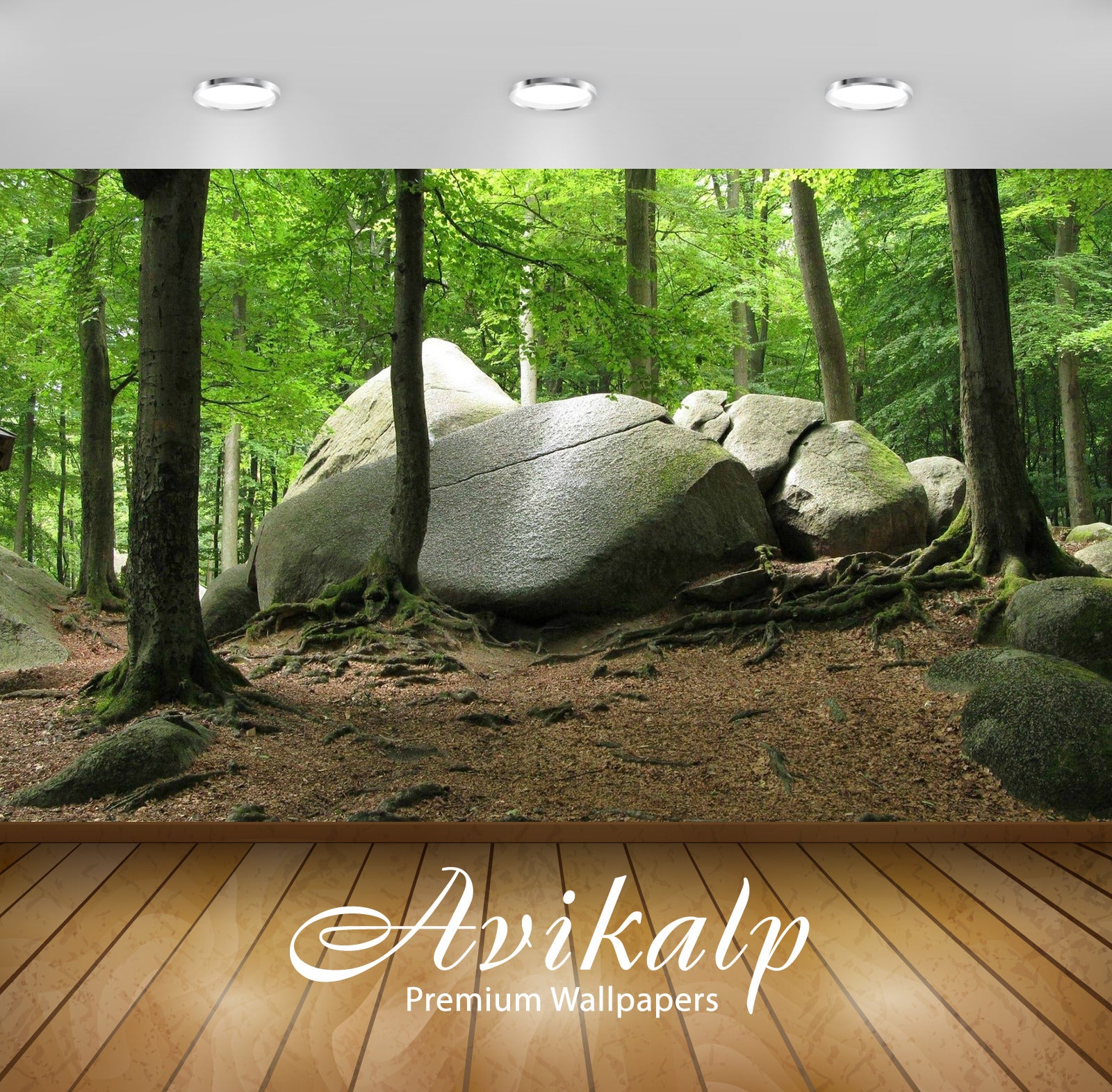 Avikalp Exclusive Awi6126 Rounded Rocks In The Mossy Forest Nature Full HD Wallpapers for Living roo Avikalp Exclusive Awi6126 Rounded Rocks In The Mossy Forest Nature Full HD Wallpapers for Living roo