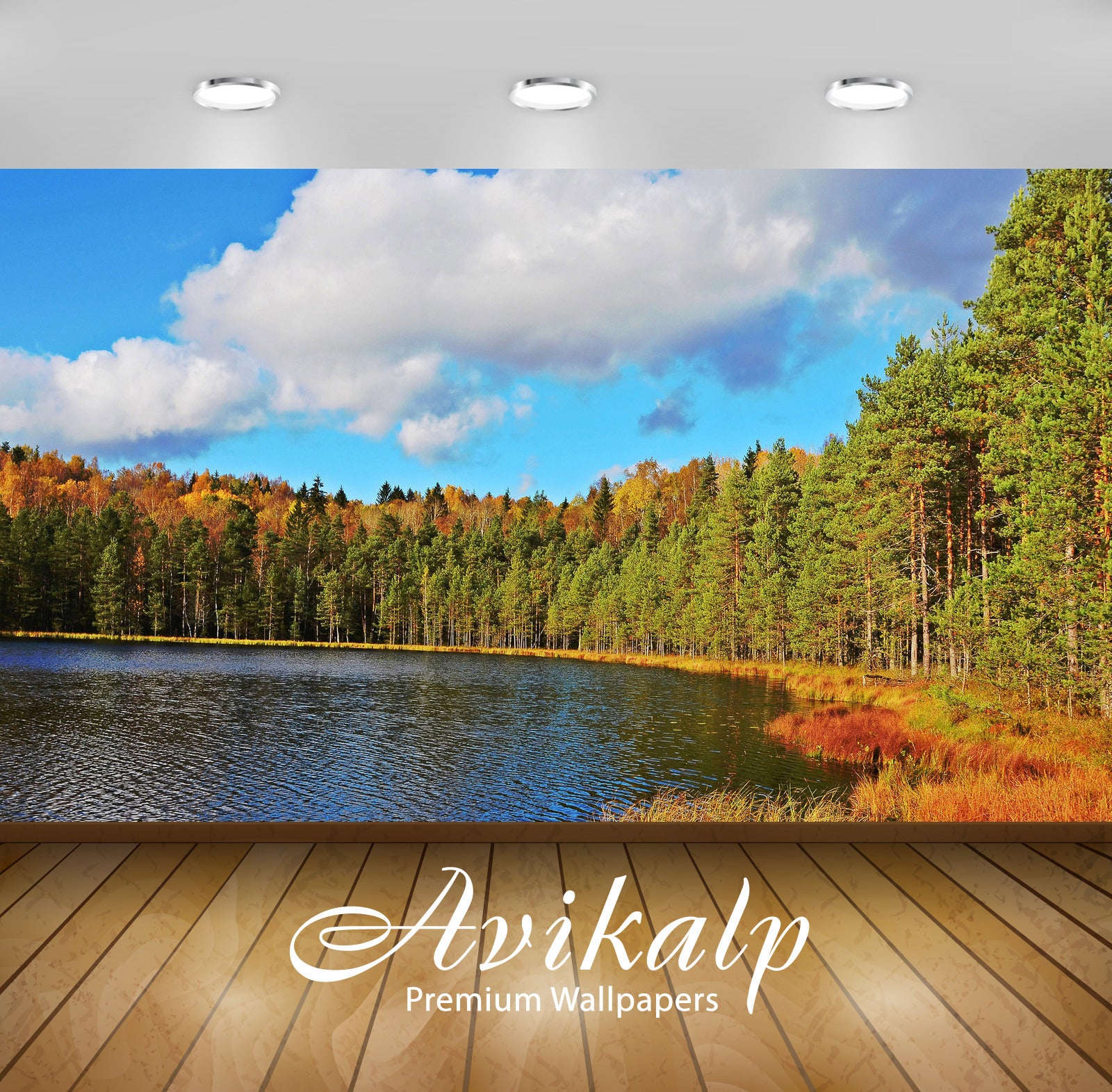 Avikalp Exclusive Awi6132 Rusty Forest Bordering The Lake Nature Full HD Wallpapers for Living room, Avikalp Exclusive Awi6132 Rusty Forest Bordering The Lake Nature Full HD Wallpapers for Living room,