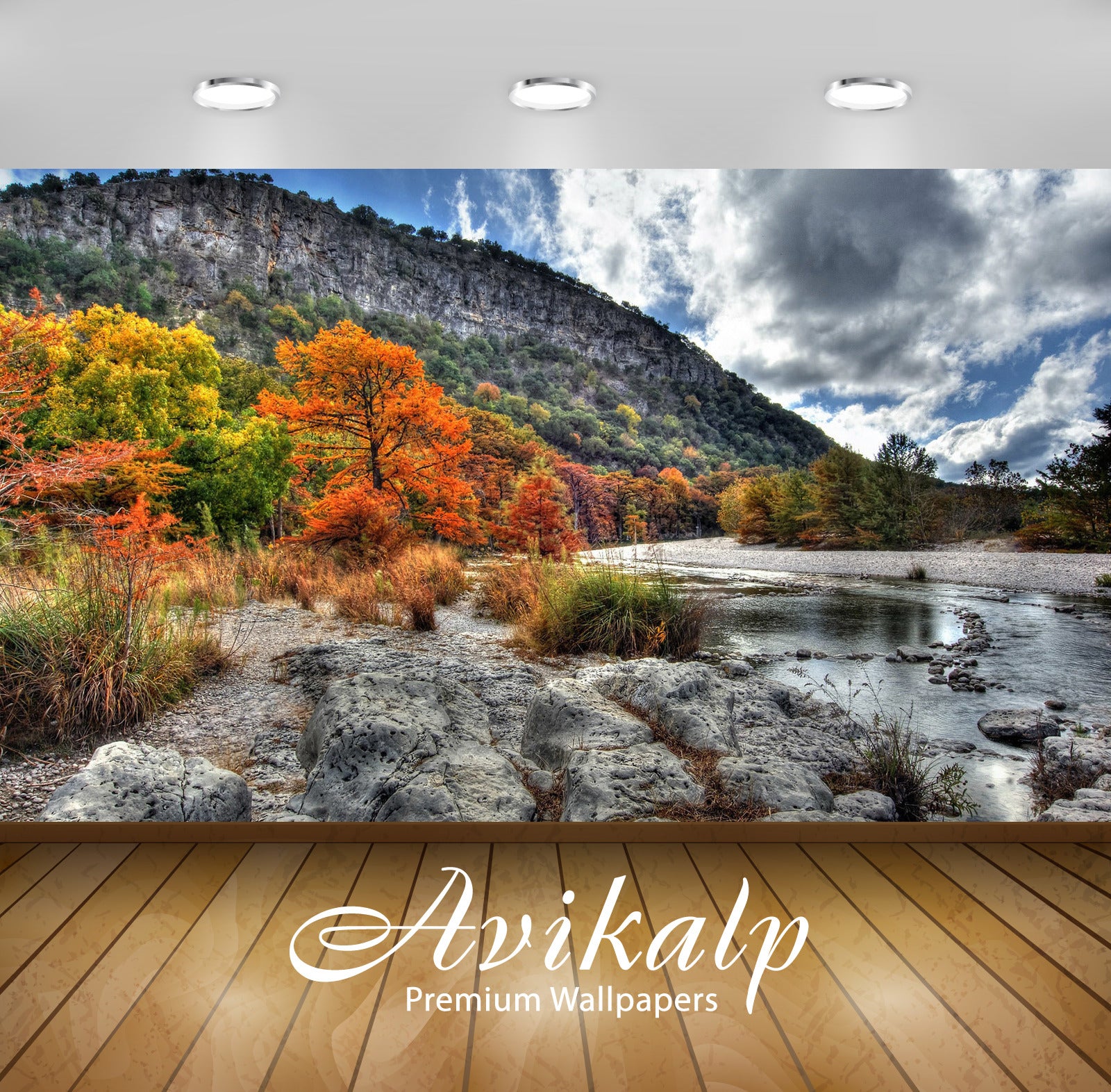 Avikalp Exclusive Awi6155 Rusty Trees On The Water Side Nature Full HD Wallpapers for Living room, H Avikalp Exclusive Awi6155 Rusty Trees On The Water Side Nature Full HD Wallpapers for Living room, H