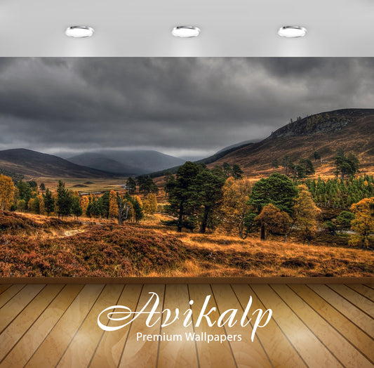 Avikalp Exclusive Awi6175 Shades Of Autumn In The Trees Nature Full HD Wallpapers for Living room, H