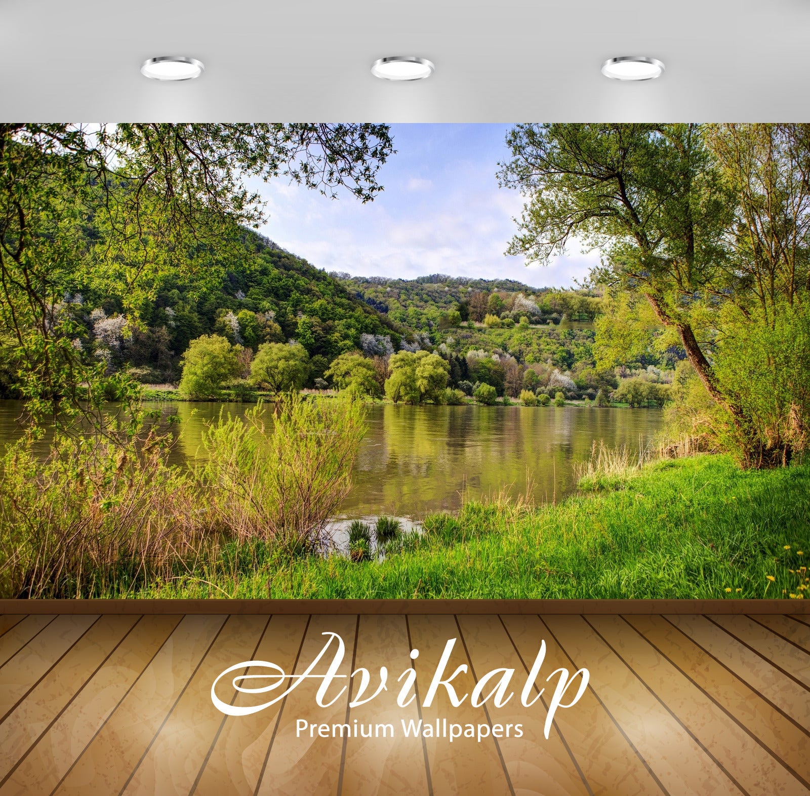 Avikalp Exclusive Awi6176 Shades Of Green In The Forest By The River Nature Full HD Wallpapers for L Avikalp Exclusive Awi6176 Shades Of Green In The Forest By The River Nature Full HD Wallpapers for L