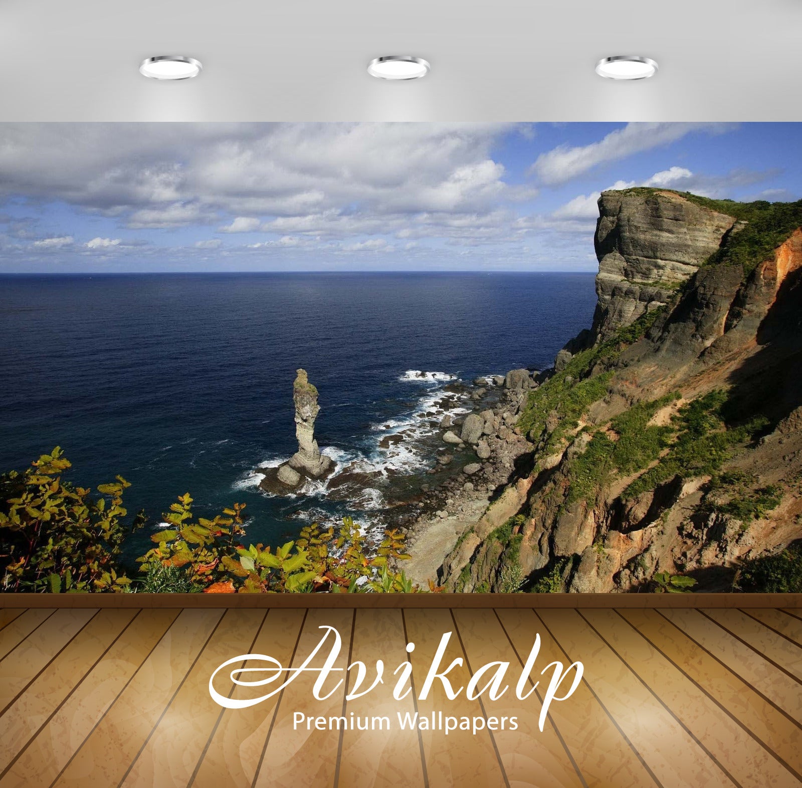 Avikalp Exclusive Awi6179 Shakotan Nature Full HD Wallpapers for Living room, Hall, Kids Room, Kitch Avikalp Exclusive Awi6179 Shakotan Nature Full HD Wallpapers for Living room, Hall, Kids Room, Kitch