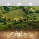 Avikalp Exclusive Awi6187 Sheep On Green Hill Nature Full HD Wallpapers for Living room, Hall, Kids Avikalp Exclusive Awi6187 Sheep On Green Hill Nature Full HD Wallpapers for Living room, Hall, Kids