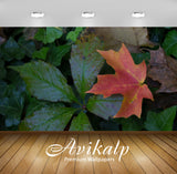 Avikalp Exclusive Awi6193 Single Red Leaf Nature Full HD Wallpapers for Living room, Hall, Kids Room Avikalp Exclusive Awi6193 Single Red Leaf Nature Full HD Wallpapers for Living room, Hall, Kids Room