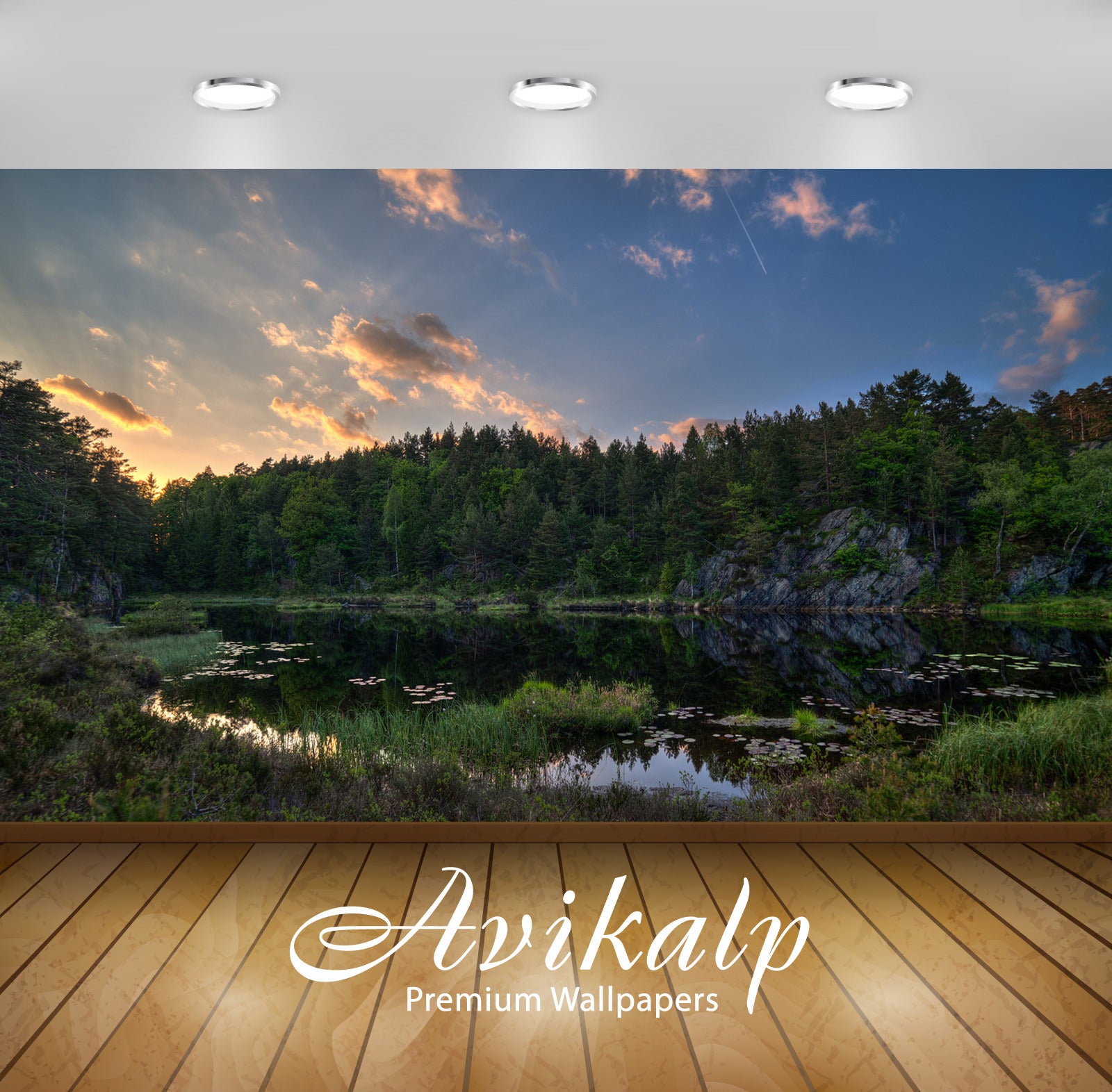 Avikalp Exclusive Awi6212 Small Lake In The Forest Nature Full HD Wallpapers for Living room, Hall, Avikalp Exclusive Awi6212 Small Lake In The Forest Nature Full HD Wallpapers for Living room, Hall,