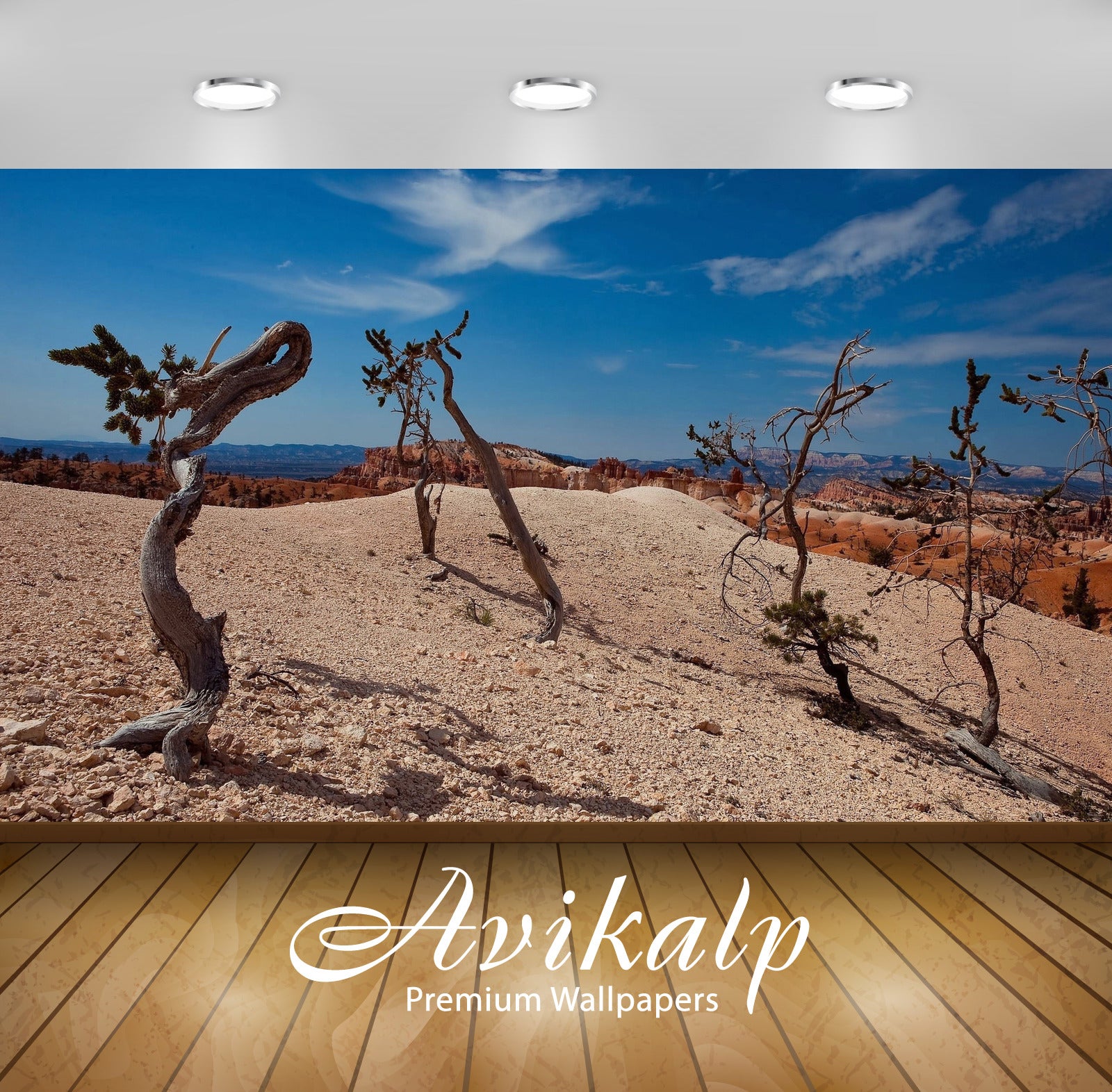 Avikalp Exclusive Awi6232 Small Trees In The Canyon Nature Full HD Wallpapers for Living room, Hall, Avikalp Exclusive Awi6232 Small Trees In The Canyon Nature Full HD Wallpapers for Living room, Hall,