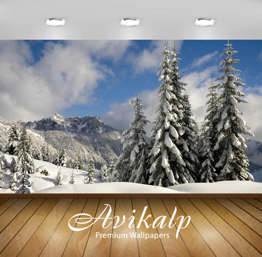 Avikalp Exclusive Awi6258 Snowy Firs Nature Full HD Wallpapers for Living room, Hall, Kids Room, Kit