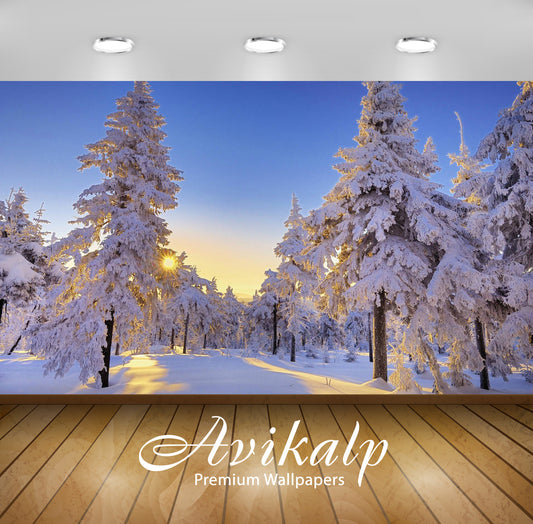 Avikalp Exclusive Awi6259 Snowy Firs Nature Full HD Wallpapers for Living room, Hall, Kids Room, Kit