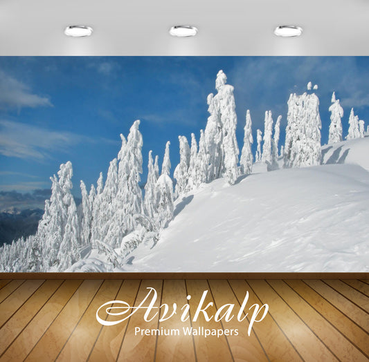 Avikalp Exclusive Awi6319 Snowy Statues Guarding The Frozen Winter Nature Nature Full HD Wallpapers