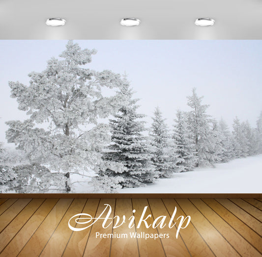 Avikalp Exclusive Awi6324 Snowy Trees Nature Full HD Wallpapers for Living room, Hall, Kids Room, Ki