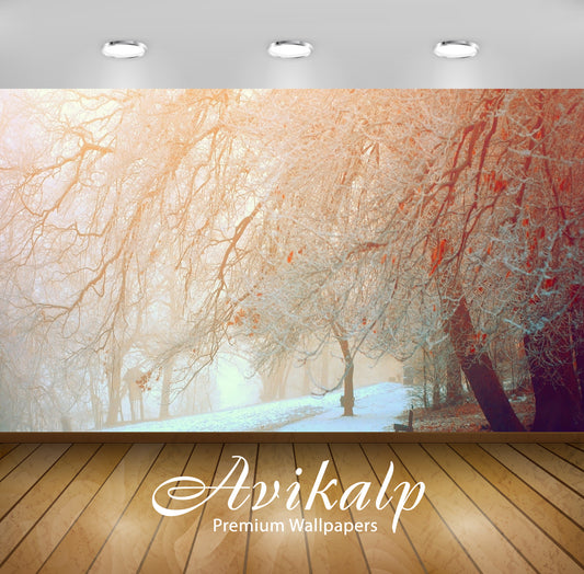 Avikalp Exclusive Awi6325 Snowy Trees Nature Full HD Wallpapers for Living room, Hall, Kids Room, Ki