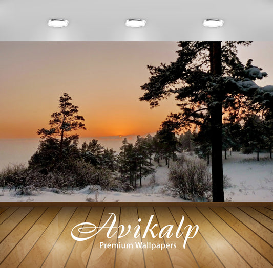 Avikalp Exclusive Awi6326 Snowy Trees At Golden Sunset Nature Full HD Wallpapers for Living room, Ha