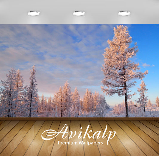 Avikalp Exclusive Awi6327 Snowy Trees At Sunset Nature Full HD Wallpapers for Living room, Hall, Kid