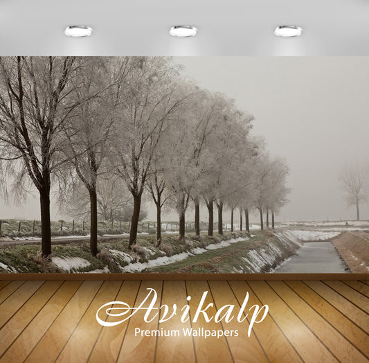 Avikalp Exclusive Awi6329 Snowy Trees By The River Nature Full HD Wallpapers for Living room, Hall,