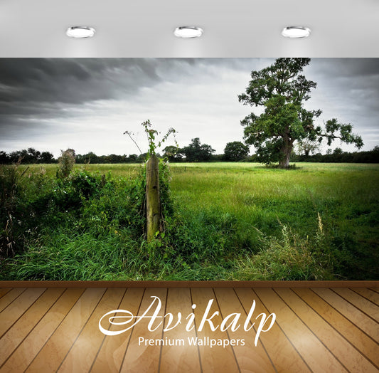 Avikalp Exclusive Awi6338 Splendid Field Nature Full HD Wallpapers for Living room, Hall, Kids Room,