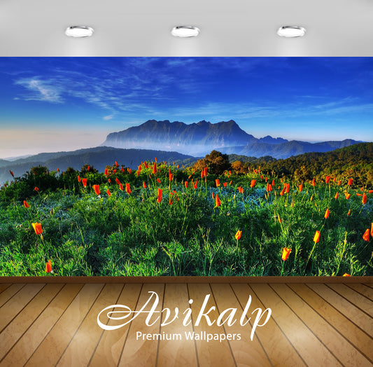 Avikalp Exclusive Awi6344 Spring In Thailand Nature Full HD Wallpapers for Living room, Hall, Kids R