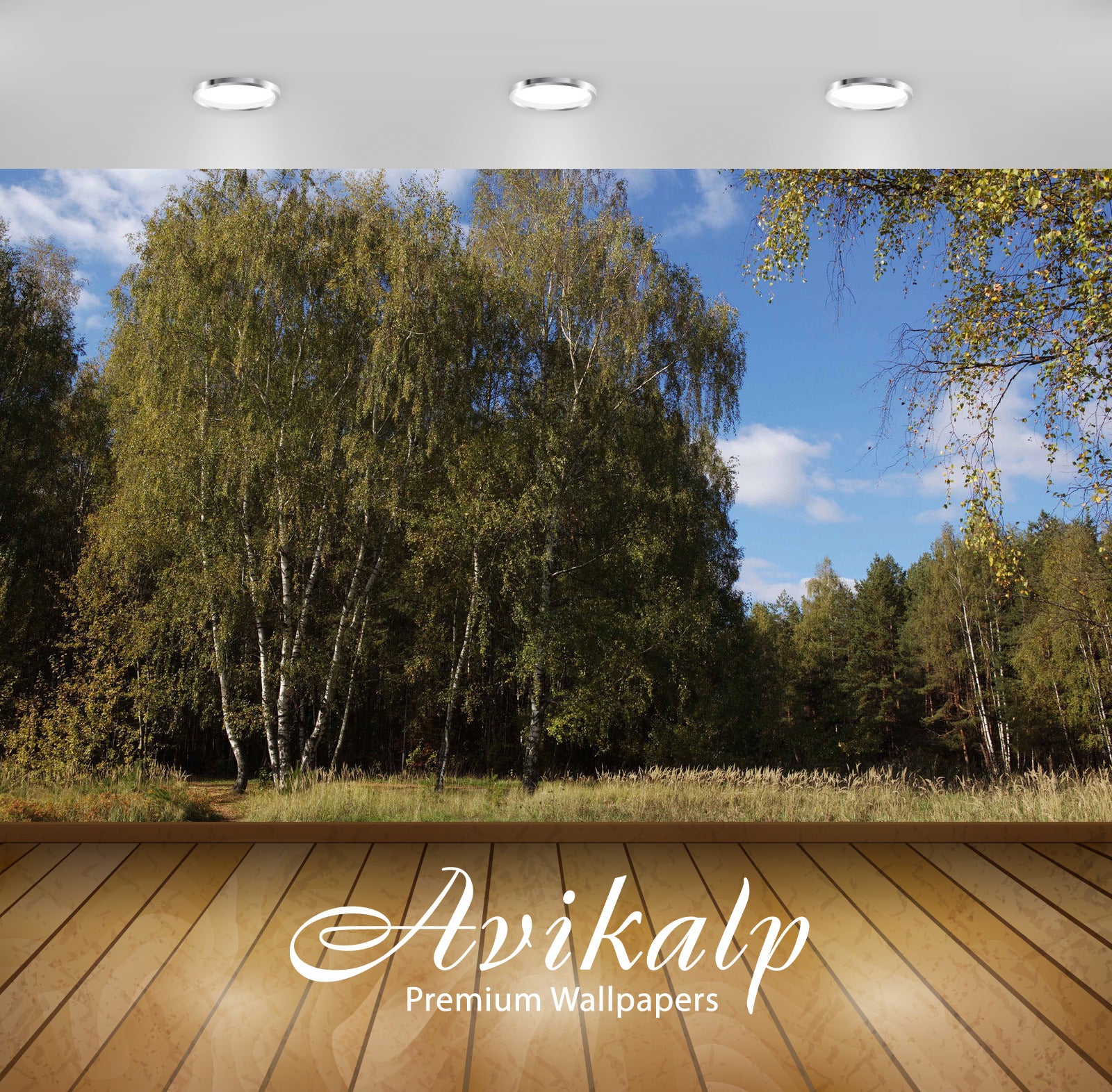 Avikalp Exclusive Awi6378 Summer Birch Forest Nature Full HD Wallpapers for Living room, Hall, Kids Avikalp Exclusive Awi6378 Summer Birch Forest Nature Full HD Wallpapers for Living room, Hall, Kids