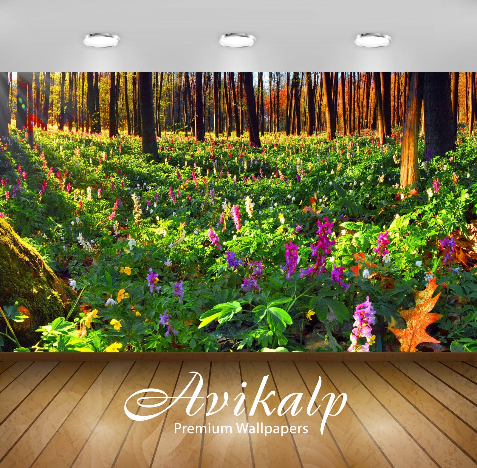 Avikalp Exclusive Awi6382 Summer Flowers In The Forest Nature Full HD Wallpapers for Living room, Ha Avikalp Exclusive Awi6382 Summer Flowers In The Forest Nature Full HD Wallpapers for Living room, Ha