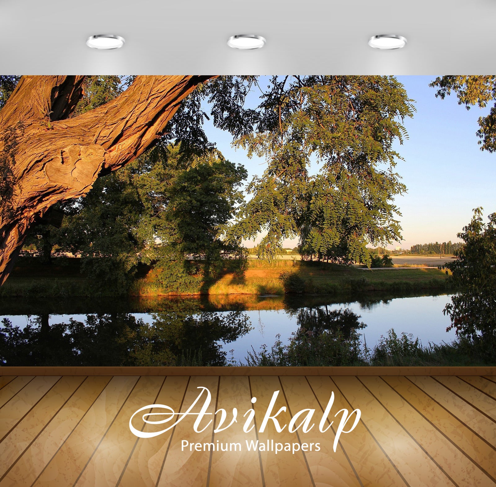 Avikalp Exclusive Awi6384 Summer Sun On The Tree By The River Nature Full HD Wallpapers for Living r Avikalp Exclusive Awi6384 Summer Sun On The Tree By The River Nature Full HD Wallpapers for Living r