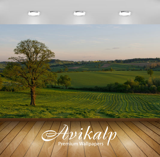 Avikalp Exclusive Awi6385 Summer Sunset Over The Green Field Nature Full HD Wallpapers for Living ro