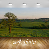 Avikalp Exclusive Awi6385 Summer Sunset Over The Green Field Nature Full HD Wallpapers for Living ro Avikalp Exclusive Awi6385 Summer Sunset Over The Green Field Nature Full HD Wallpapers for Living ro