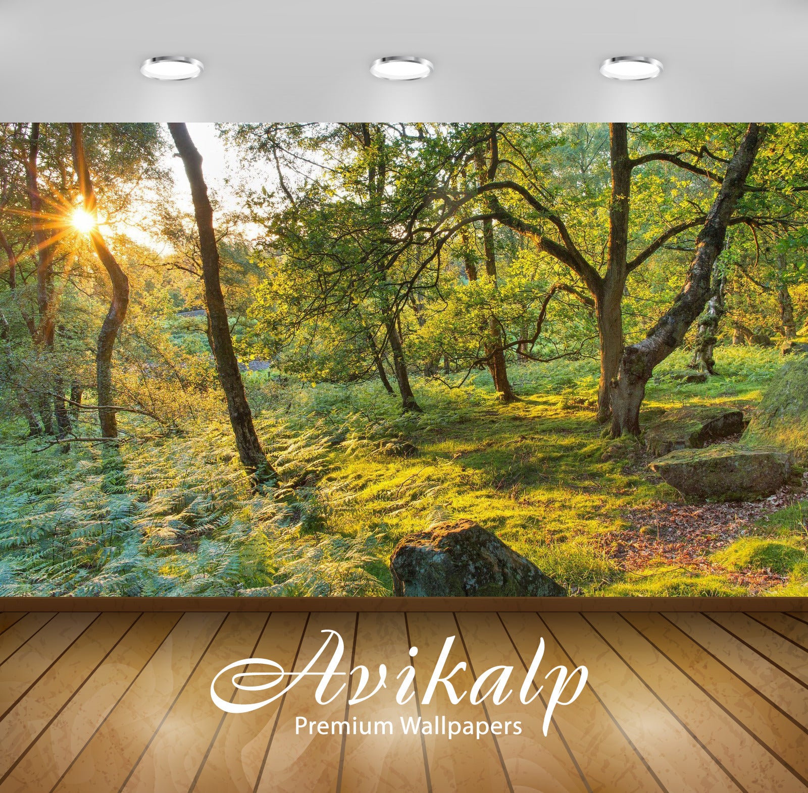 Avikalp Exclusive Awi6387 Sun Above The Mossy Forest Nature Full HD Wallpapers for Living room, Hall Avikalp Exclusive Awi6387 Sun Above The Mossy Forest Nature Full HD Wallpapers for Living room, Hall