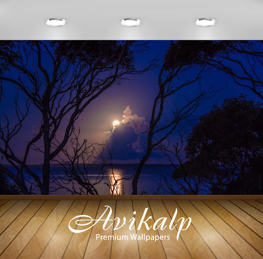 Avikalp Exclusive Awi6391 Sun Hiding In The Clouds Nature Full HD Wallpapers for Living room, Hall,