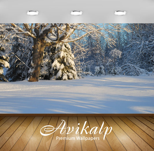 Avikalp Exclusive Awi6401 Sun Light Reflecting On The Snow Nature Full HD Wallpapers for Living room