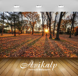 Avikalp Exclusive Awi6416 Sun Shining Through The Autumn Forest Nature Full HD Wallpapers for Living Avikalp Exclusive Awi6416 Sun Shining Through The Autumn Forest Nature Full HD Wallpapers for Living