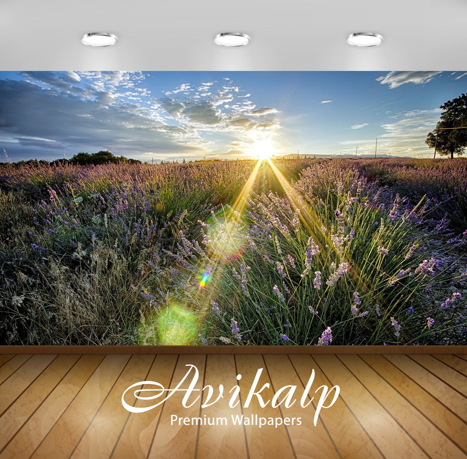 Avikalp Exclusive Awi6426 Sunbeam Over The Field Nature Full HD Wallpapers for Living room, Hall, Ki Avikalp Exclusive Awi6426 Sunbeam Over The Field Nature Full HD Wallpapers for Living room, Hall, Ki