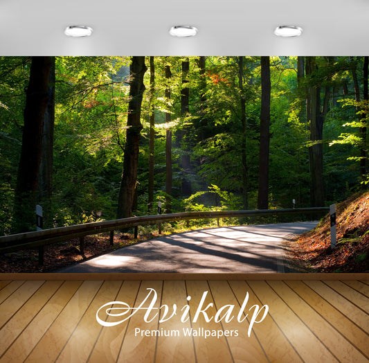 Avikalp Exclusive Awi6438 Sunlight Through The Trees Nature Full HD Wallpapers for Living room, Hall