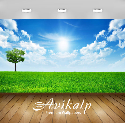 Avikalp Exclusive Awi6443 Sunny Blue Sky Nature Full HD Wallpapers for Living room, Hall, Kids Room,