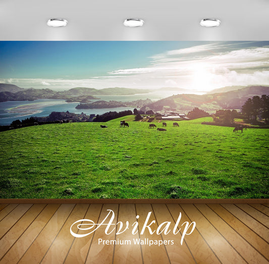 Avikalp Exclusive Awi6453 Sunny Day Over A Rural Field By The Lake Nature Full HD Wallpapers for Liv