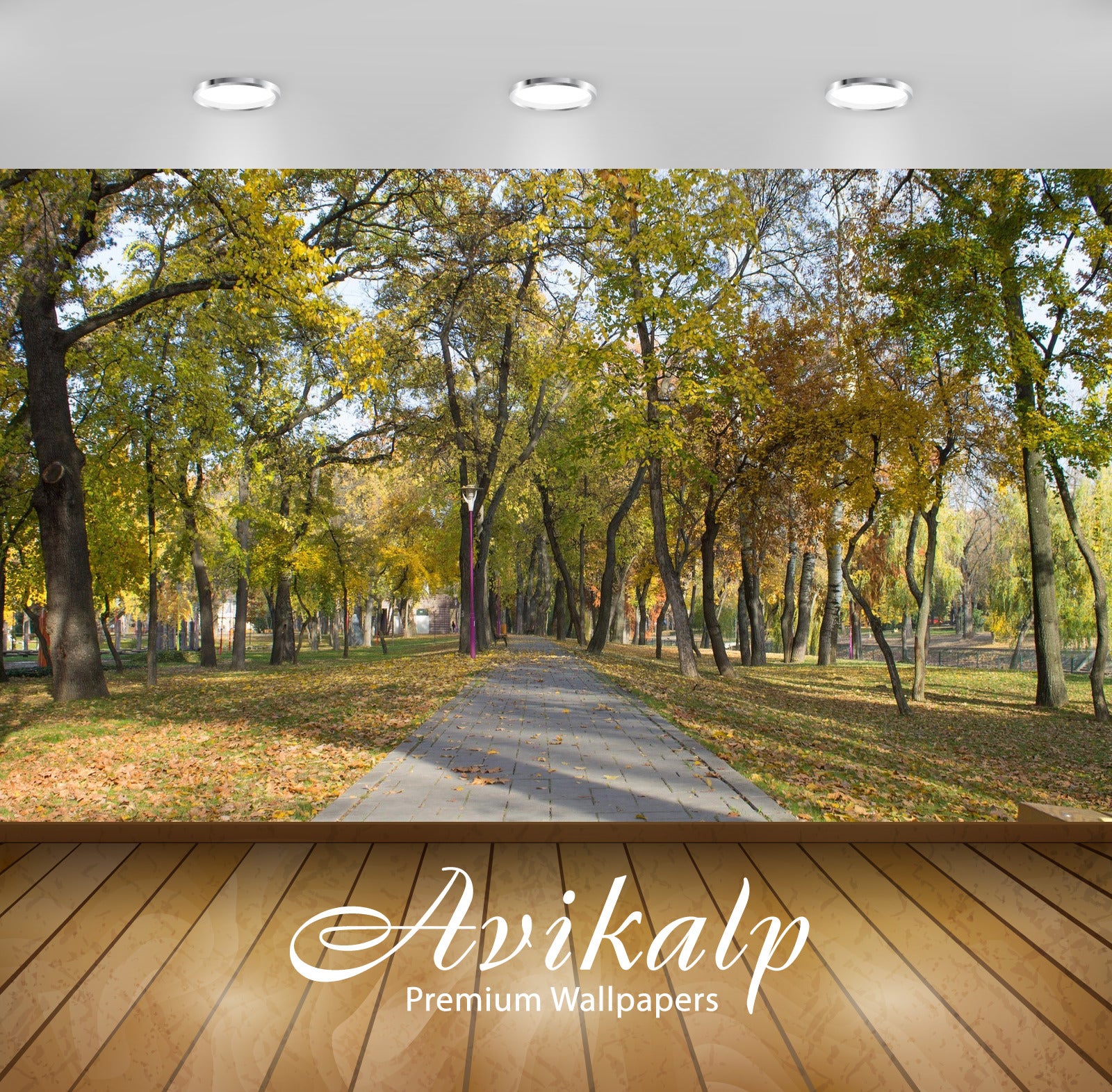 Avikalp Exclusive Awi6456 Sunny Fall Day In The Park Nature Full HD Wallpapers for Living room, Hall Avikalp Exclusive Awi6456 Sunny Fall Day In The Park Nature Full HD Wallpapers for Living room, Hall