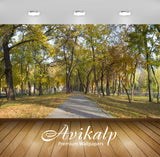 Avikalp Exclusive Awi6456 Sunny Fall Day In The Park Nature Full HD Wallpapers for Living room, Hall Avikalp Exclusive Awi6456 Sunny Fall Day In The Park Nature Full HD Wallpapers for Living room, Hall