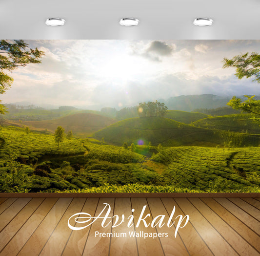 Avikalp Exclusive Awi6457 Sunny Fields Nature Full HD Wallpapers for Living room, Hall, Kids Room, K